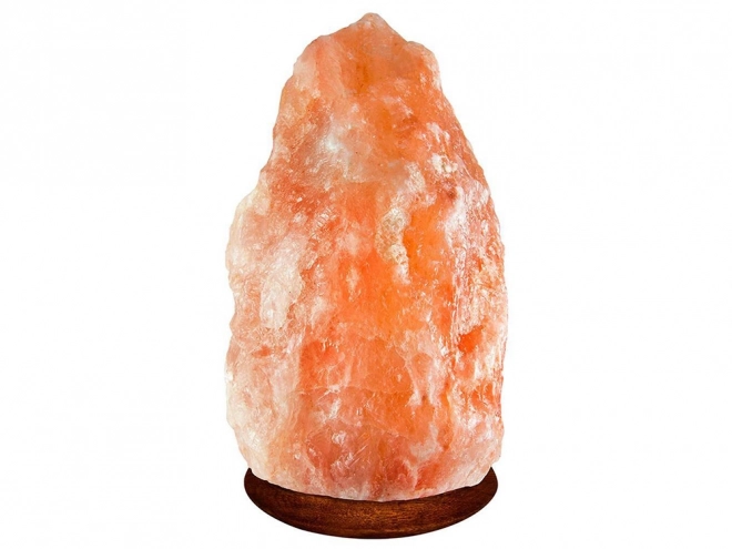 Grote Himalaya zoutlampionisator
