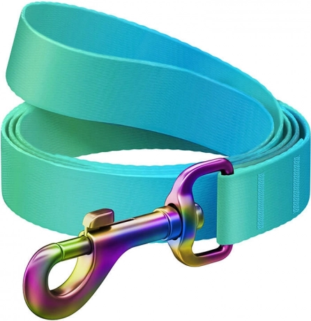 Nylon hondenriem WAUDOG, 122 cm, 15 mm, blauw