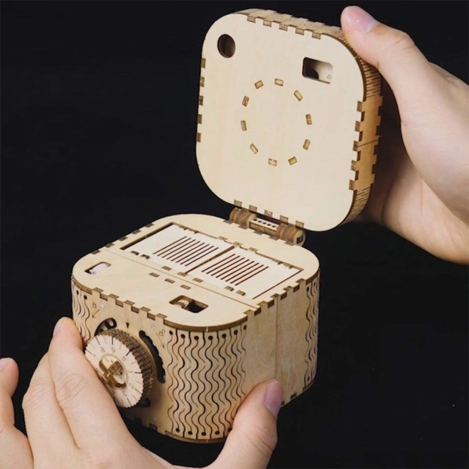 RoboTime 3D houten mechanische puzzel-sieradendoos