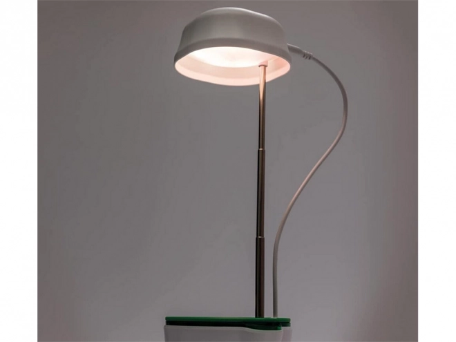 Plantenlamp met volledig spectrum verlichting en zelfbewaterende bloempot