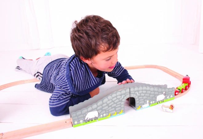 Bigjigs Rail Boerderijbrug met tunnel