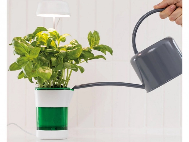 Plantenlamp met volledig spectrum verlichting en zelfbewaterende bloempot