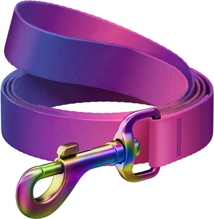 Waudog nylon hondenriem met verloop, 122 cm, paars