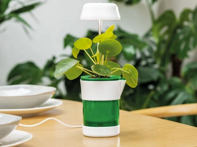 Plantenlamp met volledig spectrum verlichting en zelfbewaterende bloempot