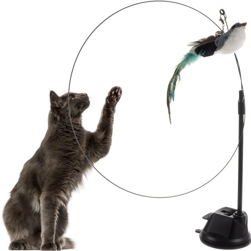 Kattenspeeltje met zuignap en vogeltje