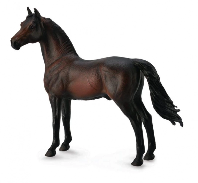 Morgan - bruin paard