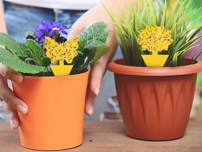Gele kleefstickers voor plantenpotten