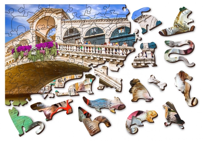 Houten puzzel kittens in Venetië 300 stukjes