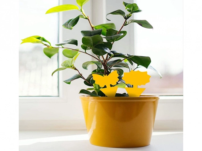 Gele kleefstickers voor plantenpotten
