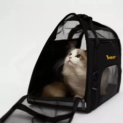 Transporter - tas voor hond/kat