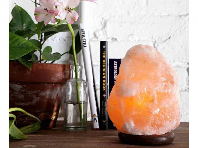 Grote Himalaya zoutlampionisator