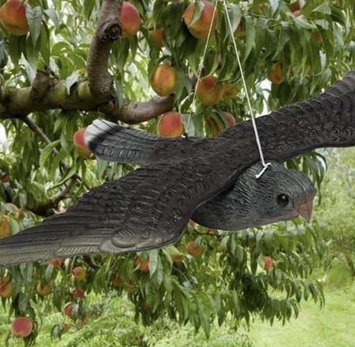 Namaak Slechtvalk - Vogelverschrikker