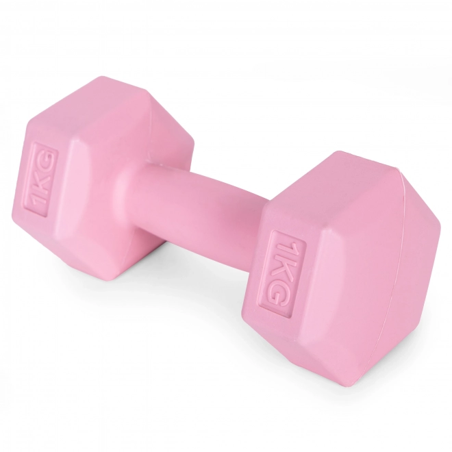 Roze halters 2x1 kg ModernHome