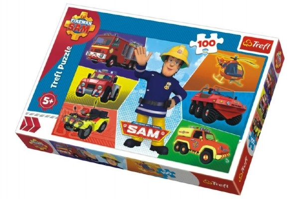 100 stukjes voor slim puzzelen