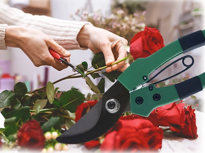 Handmatige tuinschaar voor verzorging van struiken en planten