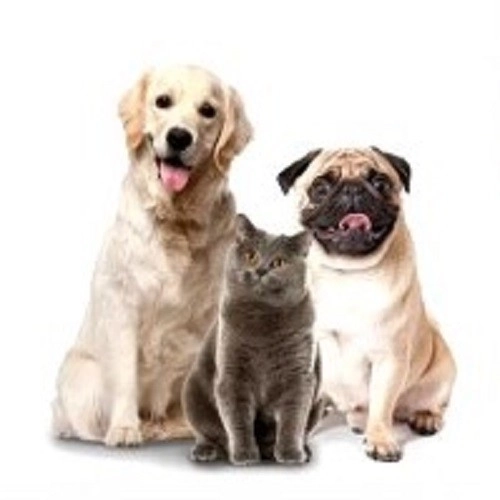 Veilige nagelknippers voor honden en katten met LED