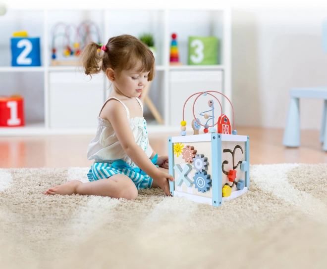 Houten blok sorteerkubus met blokken Ecotoys