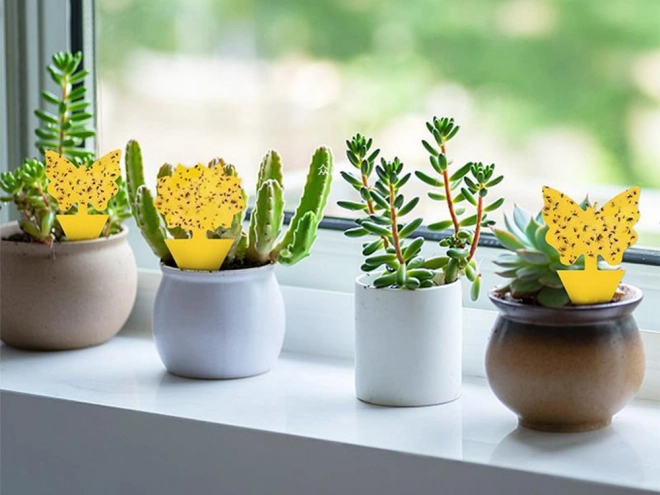 Gele kleefstickers voor plantenpotten