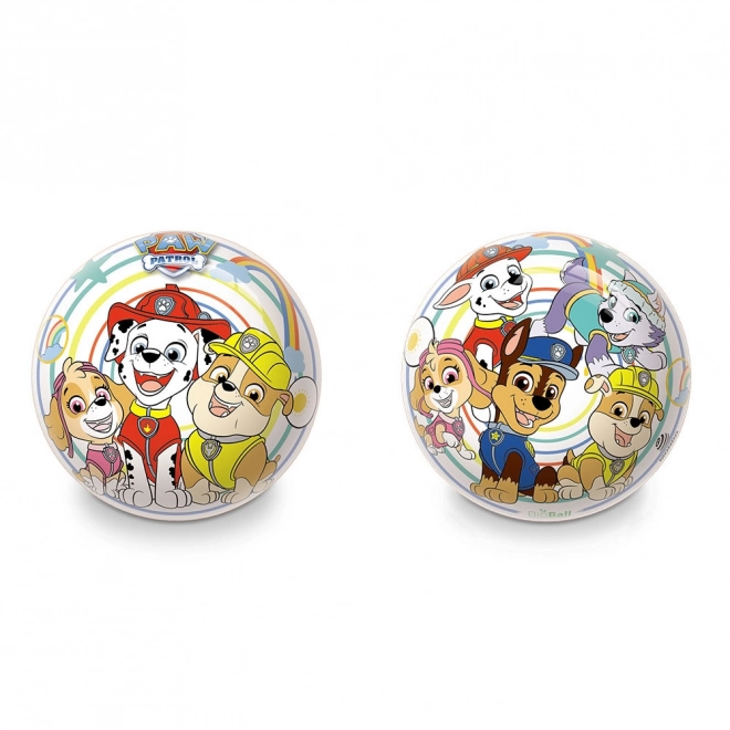 Kleurrijke bal met Paw Patrol thema voor kinderen