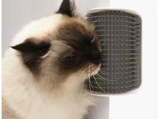 Hoekkam Borstel voor Katten met Catnip