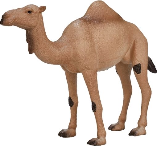 Mojo Animal Planet Dromedaris