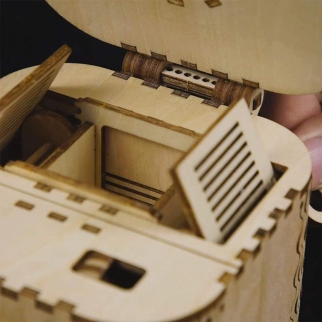 RoboTime 3D houten mechanische puzzel-sieradendoos