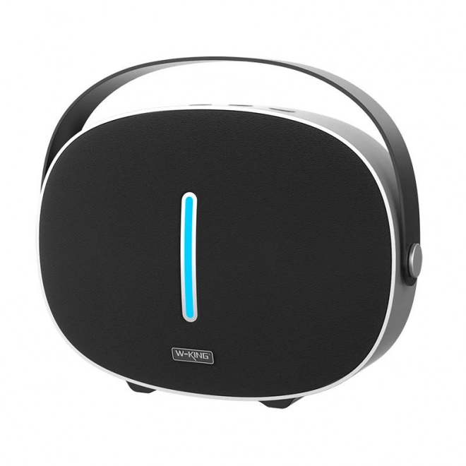 Draadloze Bluetooth-luidspreker W-KING T8 30W (zwart)