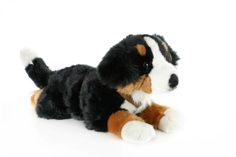 Pluche Berner Sennenhond 65 cm
