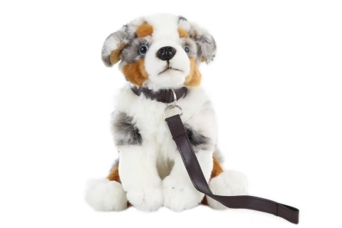 Pluche Australische Herder met Riem