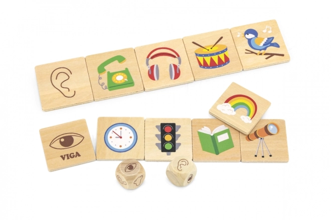 VIGA educatief spel houten puzzel om zintuigen te leren