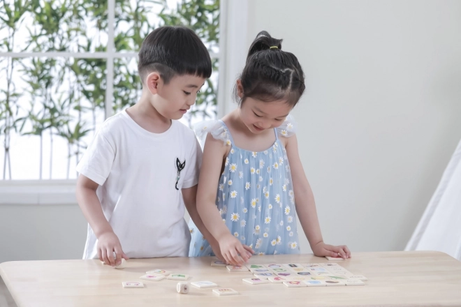 VIGA educatief spel houten puzzel om zintuigen te leren