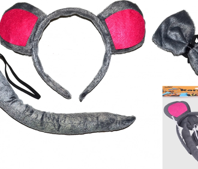 Carnavalsset muis
