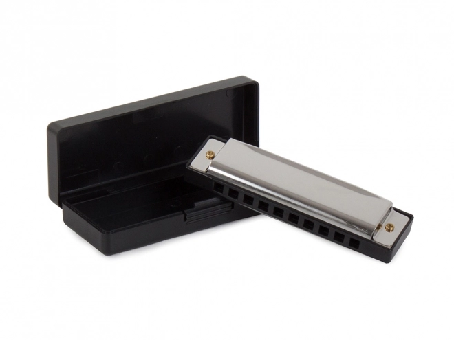 Metalen mondharmonica in C majeur met hoes