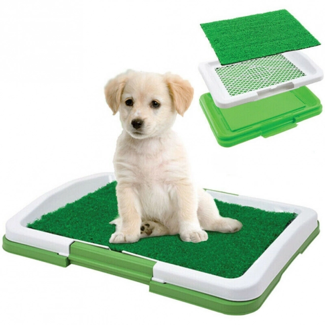 Toilettrainingsgras voor puppy's - 34 x 47 x 6 cm