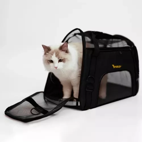 Transporter - tas voor hond/kat