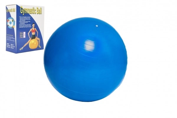 Gymnastiekbal 65cm revalidatie ontspannen in doos 16x22cm