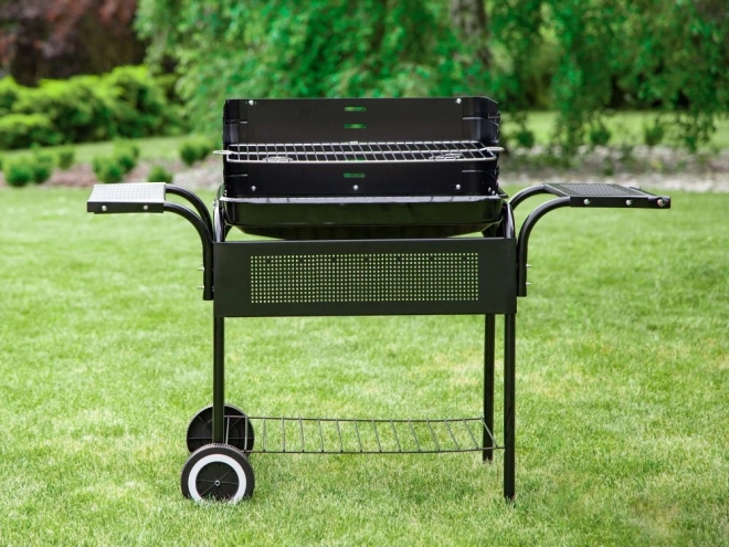 Tuinbarbecue, metalen planken, verstelbaar rooster, wieltjes