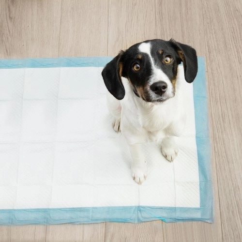 Absorberende hygiënische onderlegger voor dieren 60 x 40 cm - 100 stuks