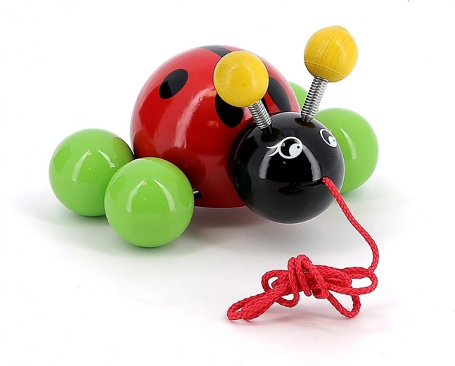 Gladde gelakte houten constructie