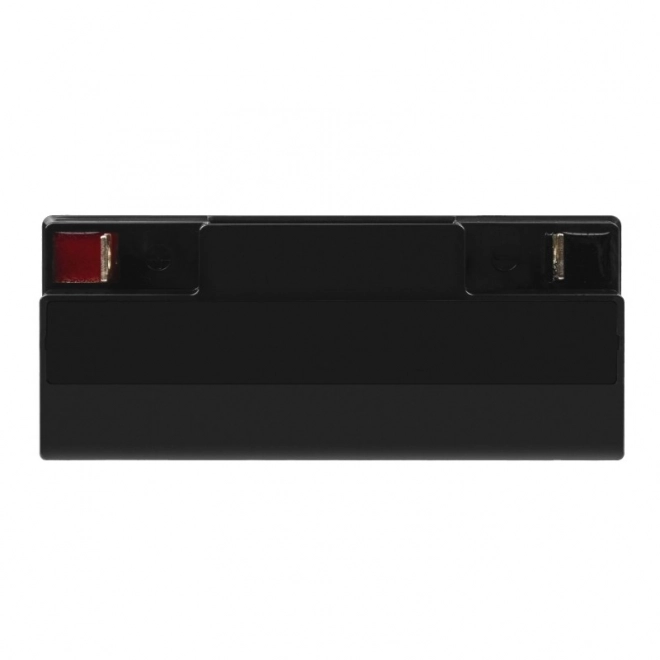 Oplaadbare AGM VRLA Green Cell AGM10 12V 20Ah batterij (voor grasmaaiers, boten, motoren, voertuigen)