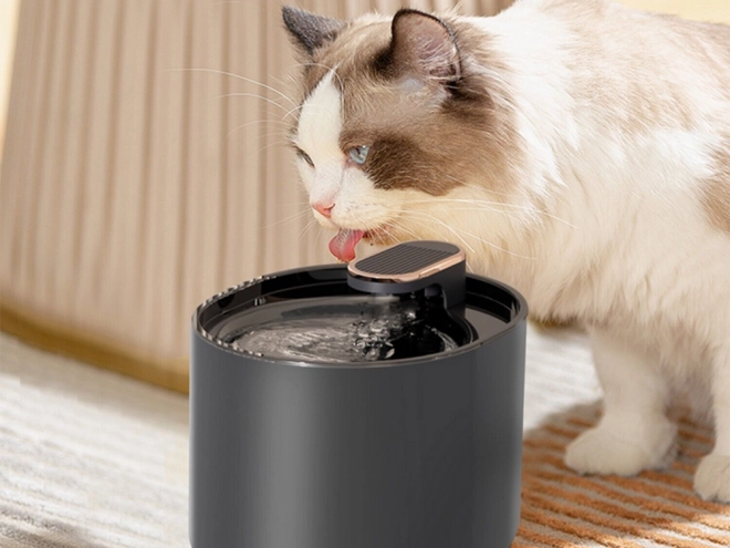 Vervangbare filters met actief koolstof