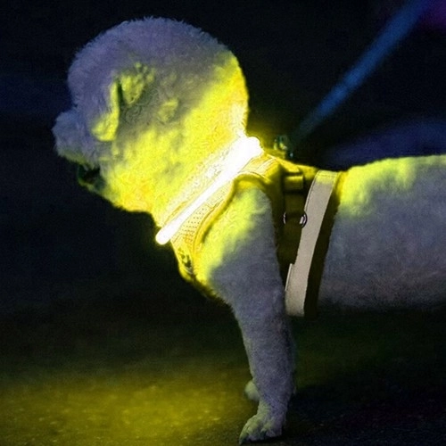 LED-verlichte halsband voor honden en katten