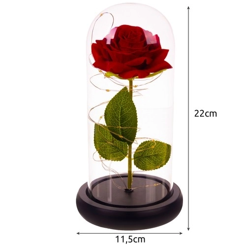 Roos in glas - stralend