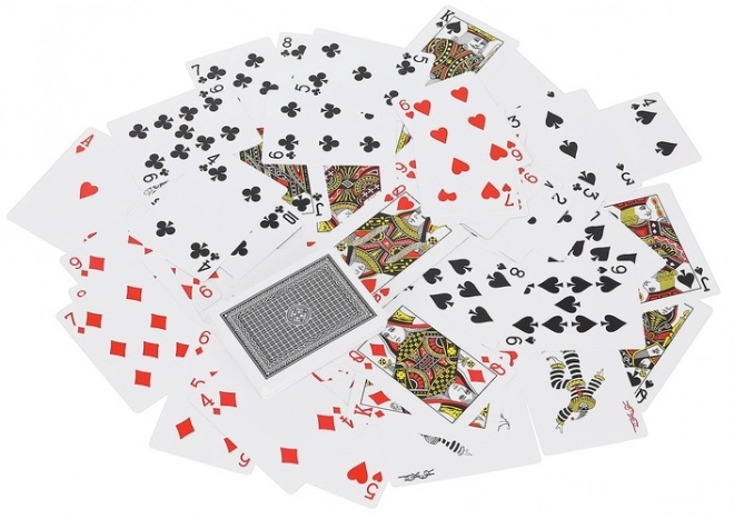 Poker - set van 300 fiches in HQ-koffer