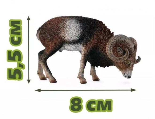 Europese moeflon
