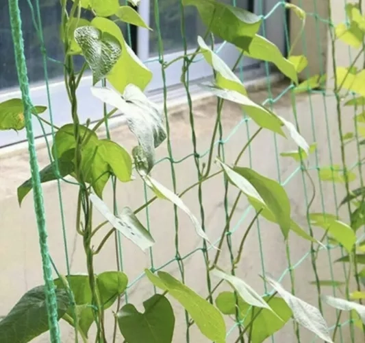 Net - steun voor planten 2x10m Gardlov 23978