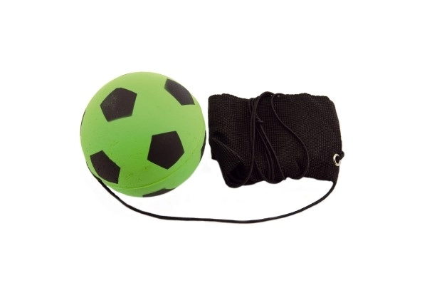 Terugkerende bal TEDDIES