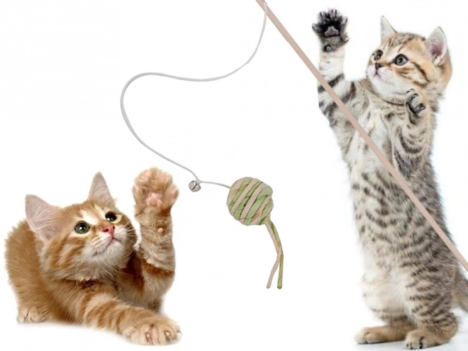 Kattenspeeltje vissershengel met rammelbal