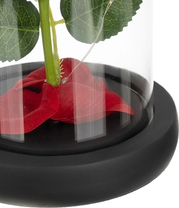 Blijvende Schoonheid