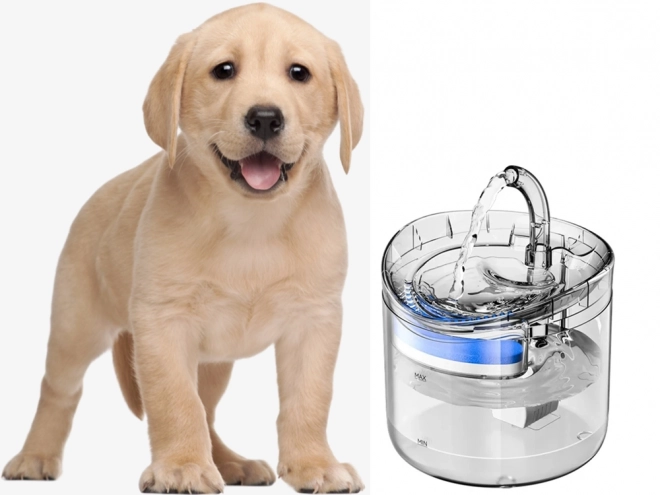 Automatische waterfontein voor katten en honden